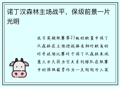 诺丁汉森林主场战平，保级前景一片光明