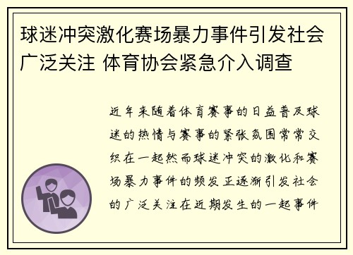 球迷冲突激化赛场暴力事件引发社会广泛关注 体育协会紧急介入调查