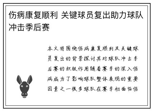 伤病康复顺利 关键球员复出助力球队冲击季后赛